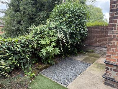 Picture 16